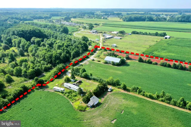 a view of a garden with flowers and plants