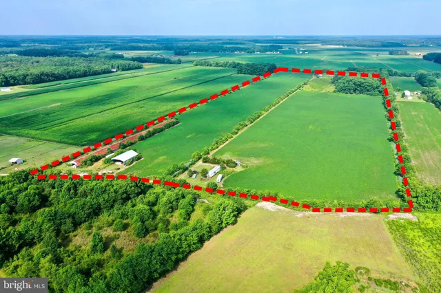 a view of a garage with a table and flowers plants