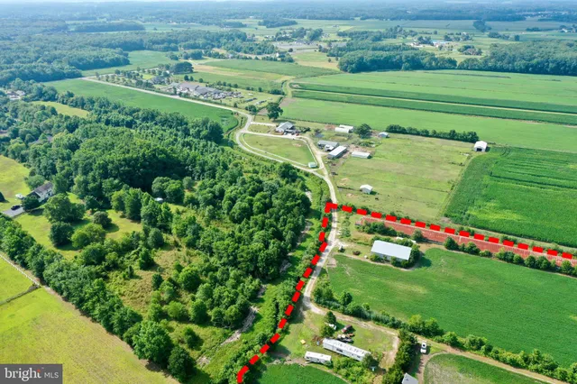 a view of a garden with a flower plants and large trees