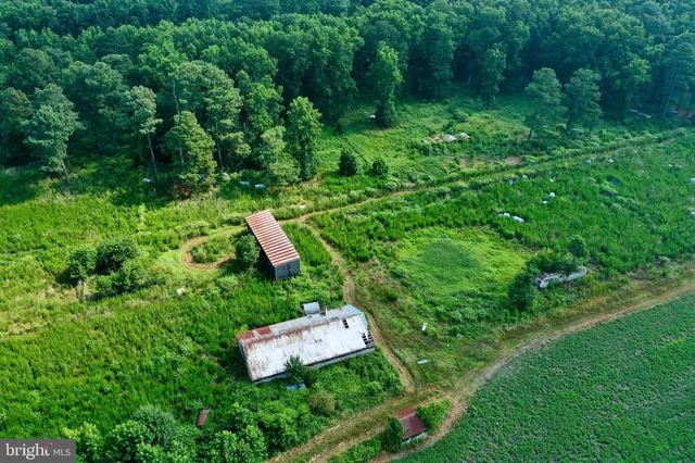a view of a golf course with a garden