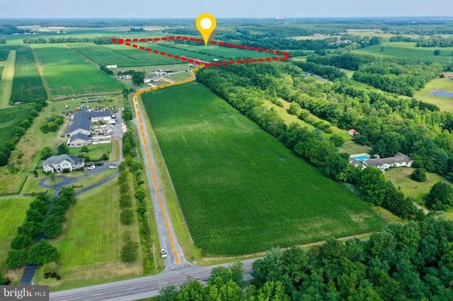 a view of a lush green space