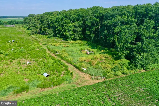 a aerial view of a house with yard and outdoor seating