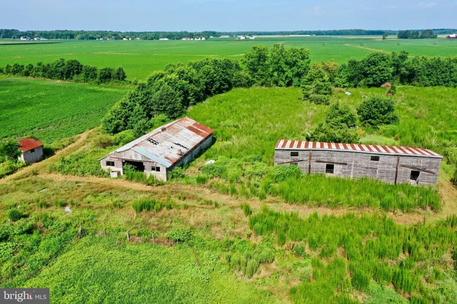 a front view of a house with yard