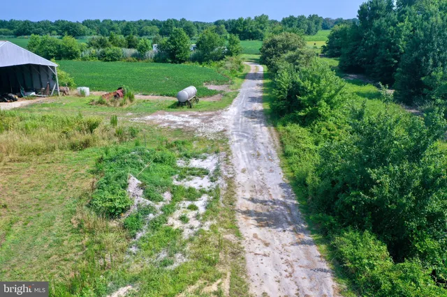 a view of a green field with lots of green plants in it