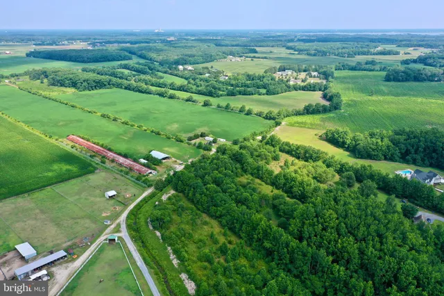 a large tree in the middle of a house
