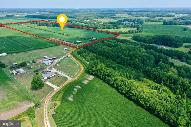 a view of a field with plants and wooden fence