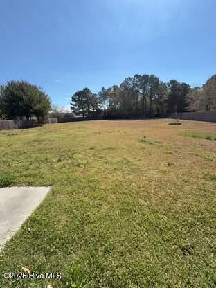 306 Kenilworth Place Hubert, NC 28539 - Photo 16 of 17 Backyard