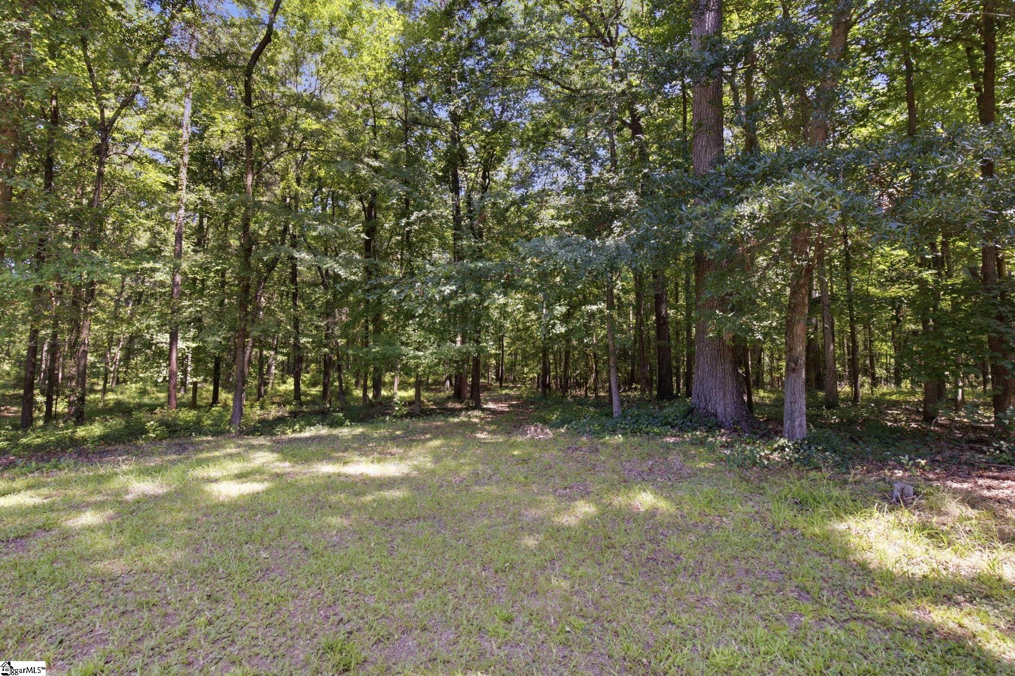 190 Meredith Lake Road Townville, SC 29689 - Photo 31 of 50 Gallery Image 31