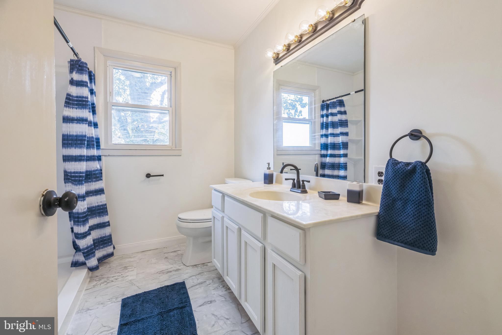 29136 Discount Land Road Laurel, DE 19956 - Photo 16 of 26 Bathroom