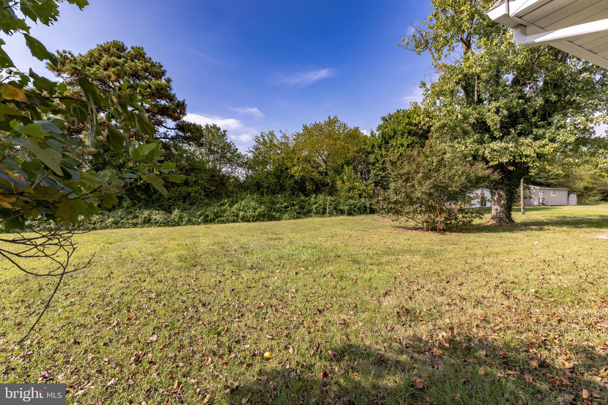 29136 Discount Land Road Laurel, DE 19956 - Photo 23 of 26 Gallery Image 23