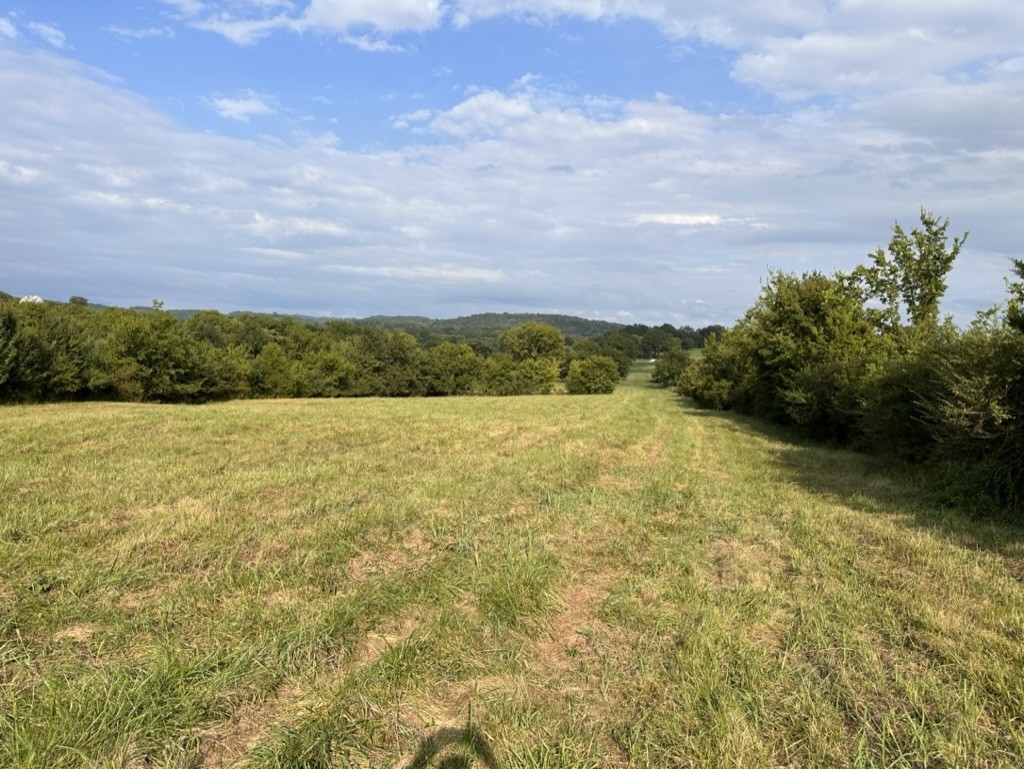 3413 Booker Farm Road Mount Pleasant, TN 38474 - Photo 1 of 9 Gallery Image 1