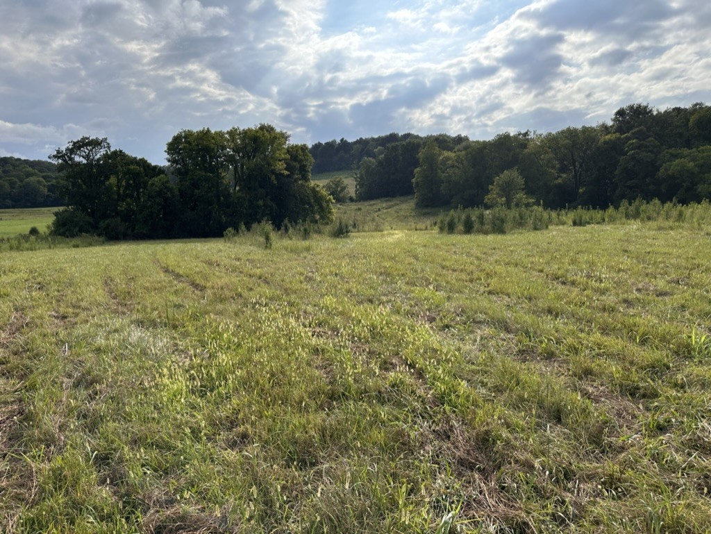 3413 Booker Farm Road Mount Pleasant, TN 38474 - Photo 3 of 9 Gallery Image 3