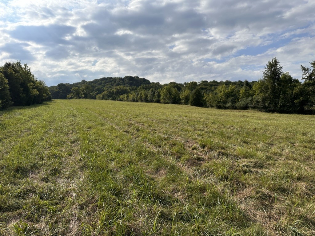 3413 Booker Farm Road Mount Pleasant, TN 38474 - Photo 6 of 9 Gallery Image 6