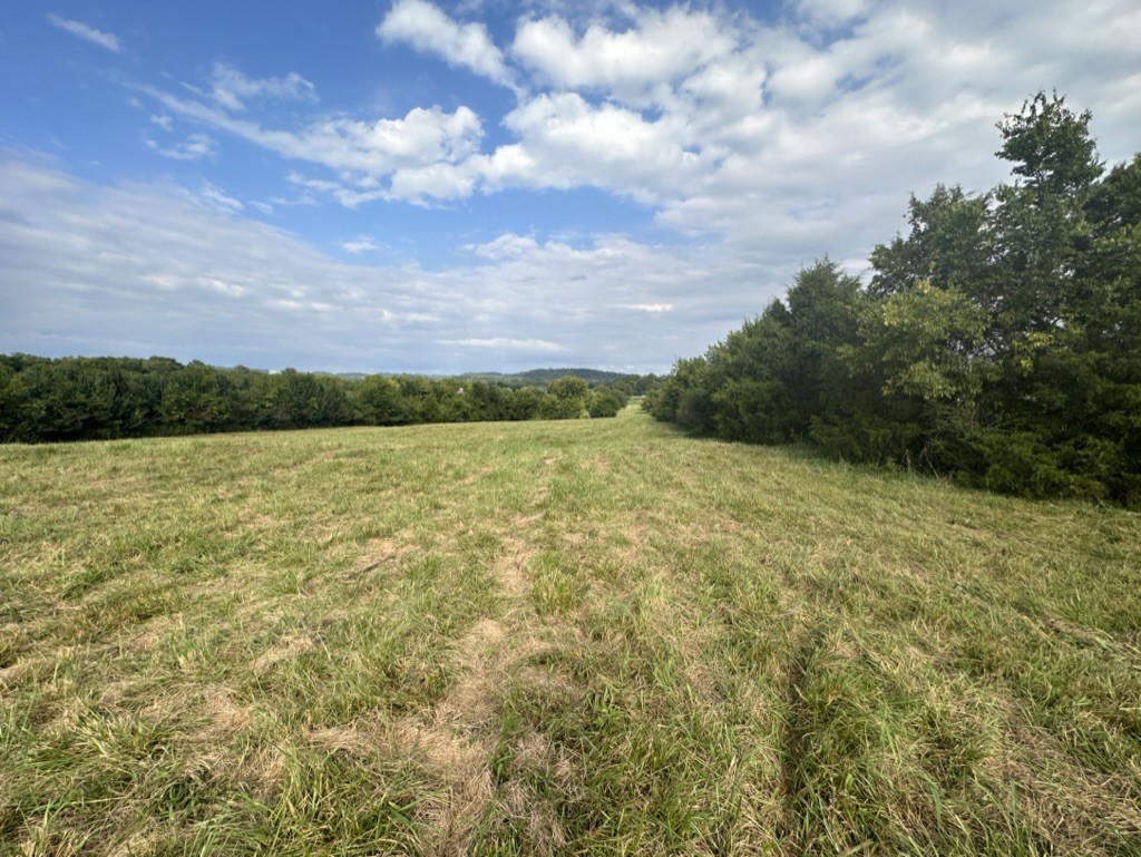 3413 Booker Farm Road Mount Pleasant, TN 38474 - Photo 7 of 9 Gallery Image 7