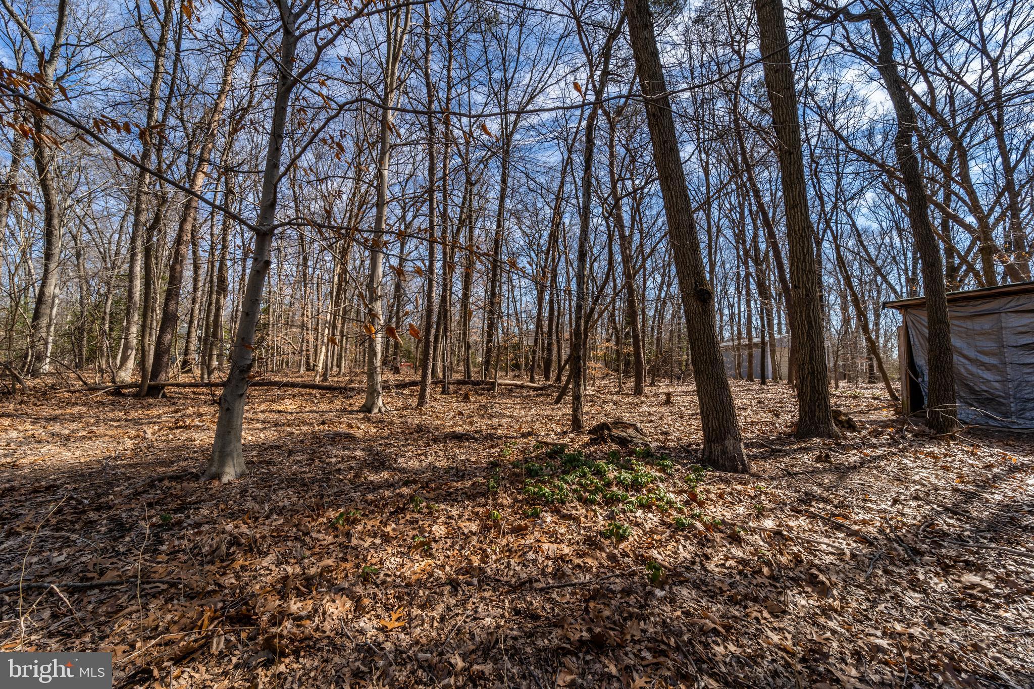 217 Irick Road Westampton, NJ 08060 - Photo 77 of 88