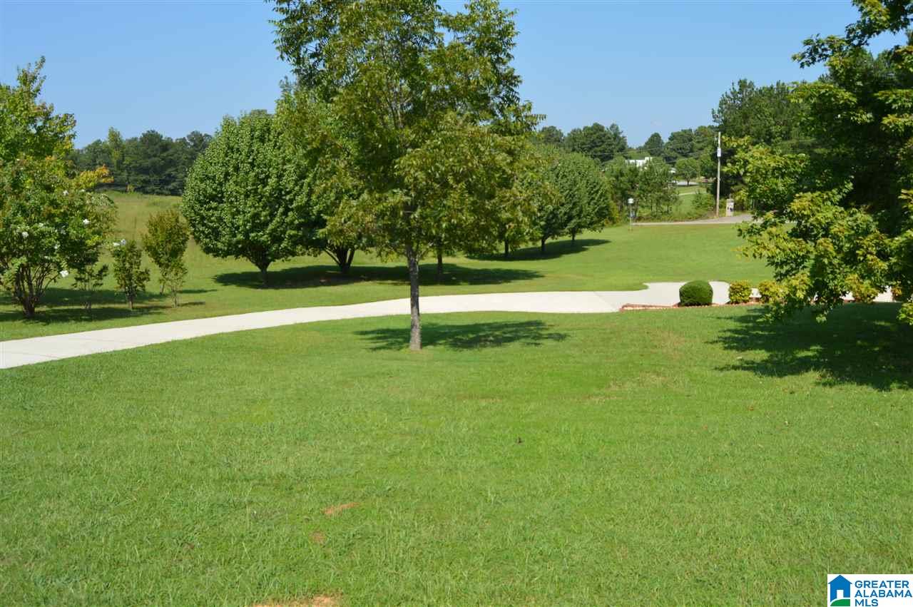 5230 Hammock Road Dora, AL 35062 - Photo 35 of 37