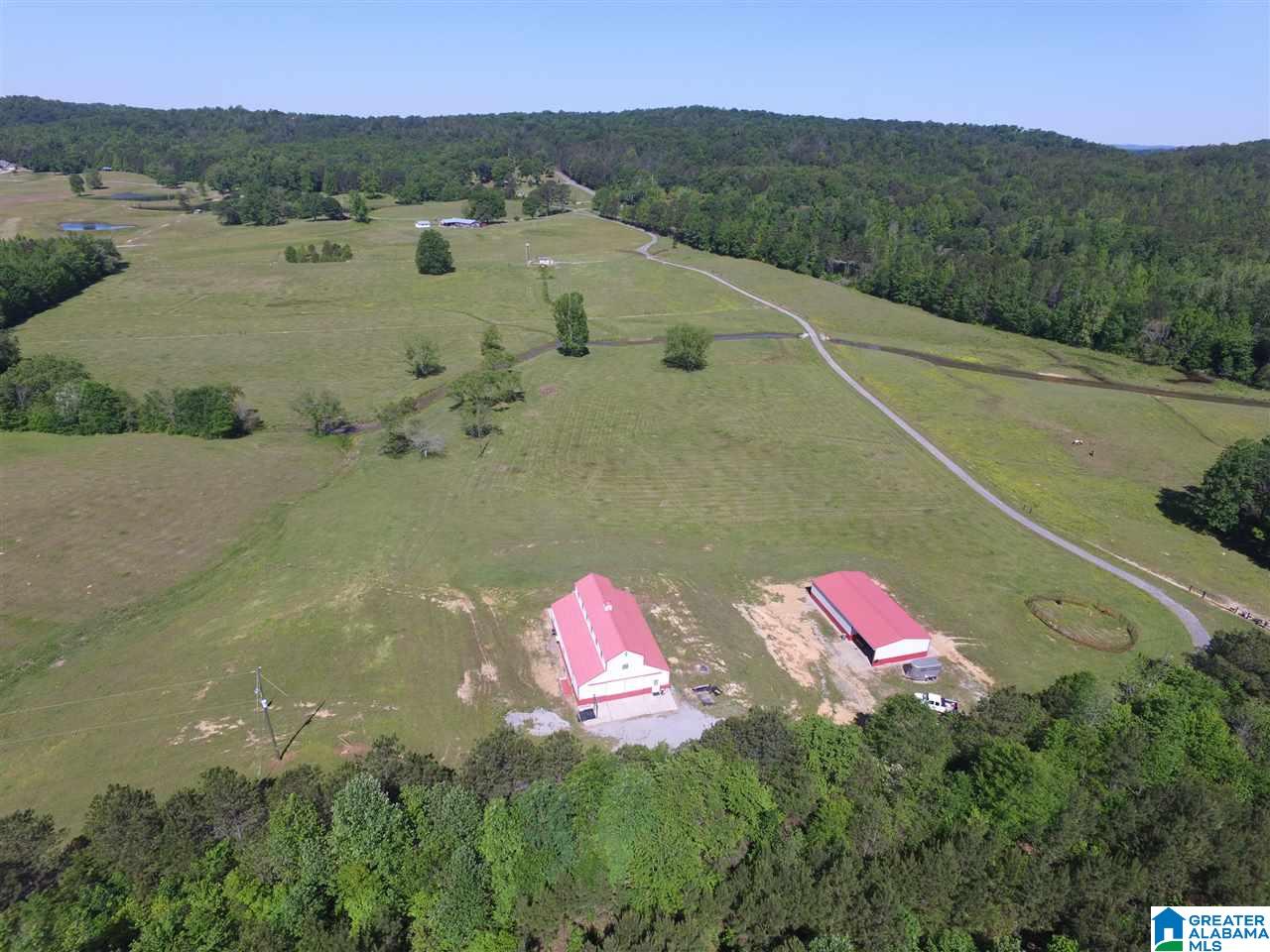 0 Pleasant Hills Road, Unit 40 Odenville, AL 35120 - Photo 40 of 48