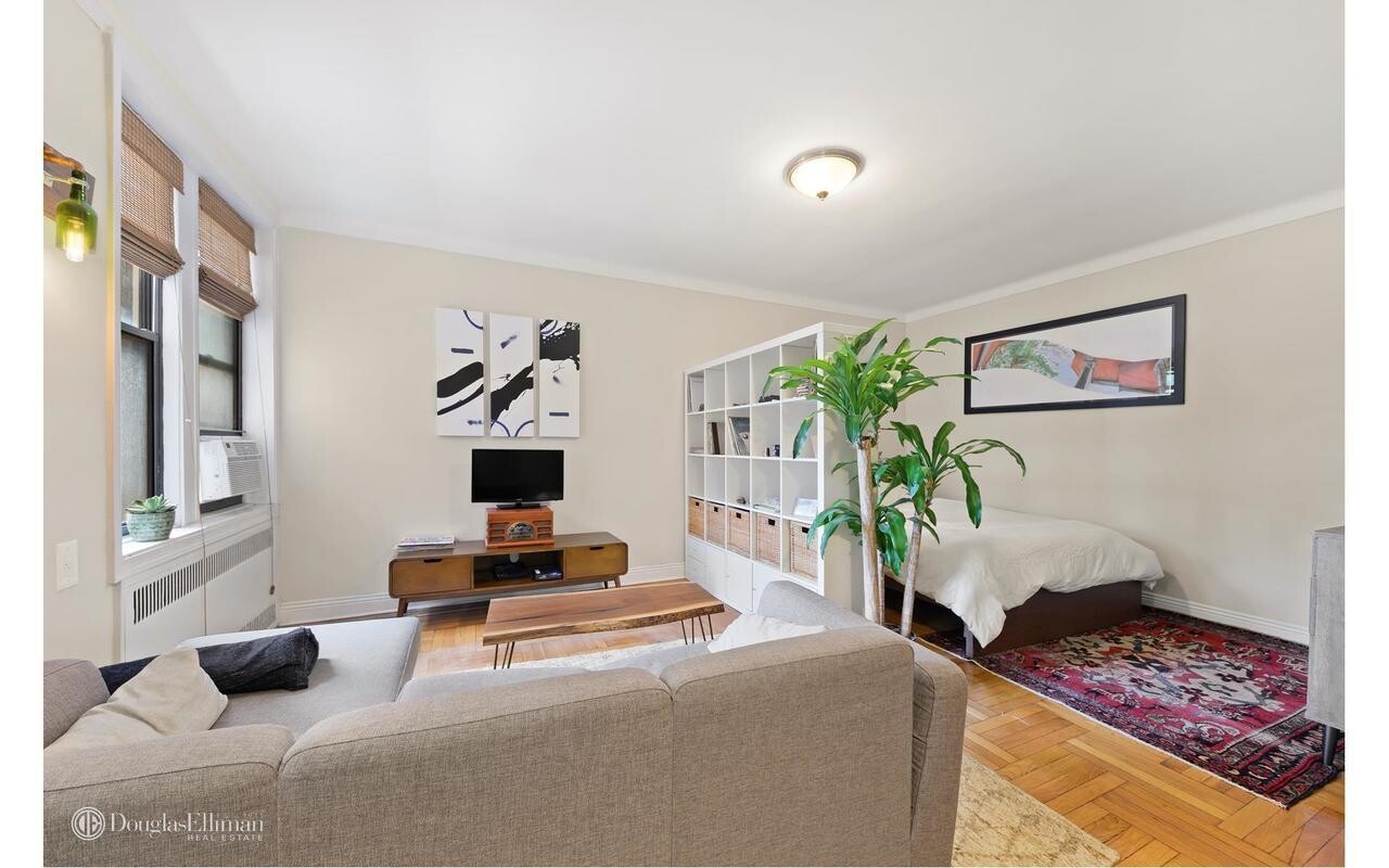 a living room with furniture and a potted plant