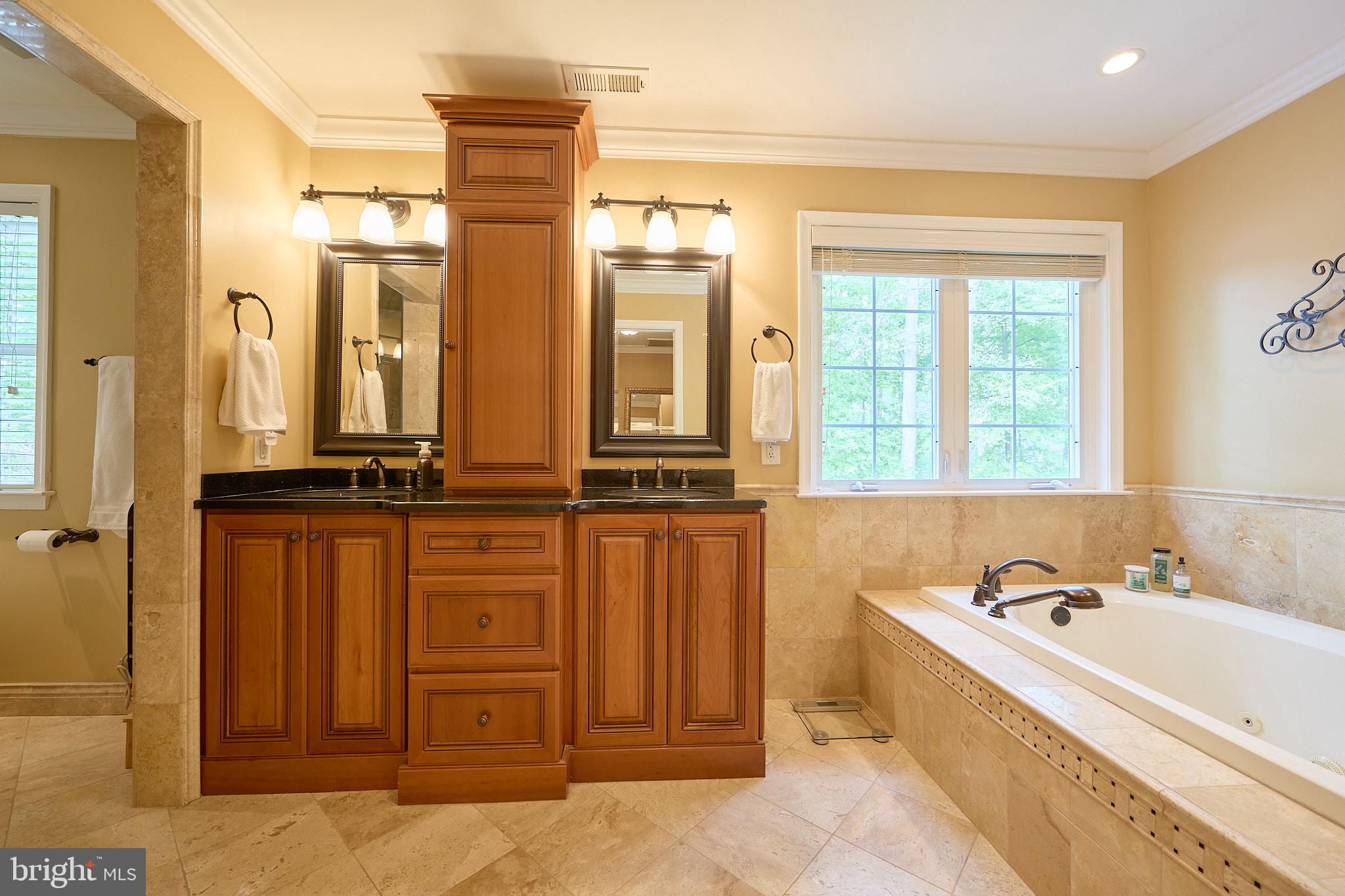 661 St Matthews Road Chester Springs, PA 19425 - Photo 31 of 64 Elegant bathroom with natural light.