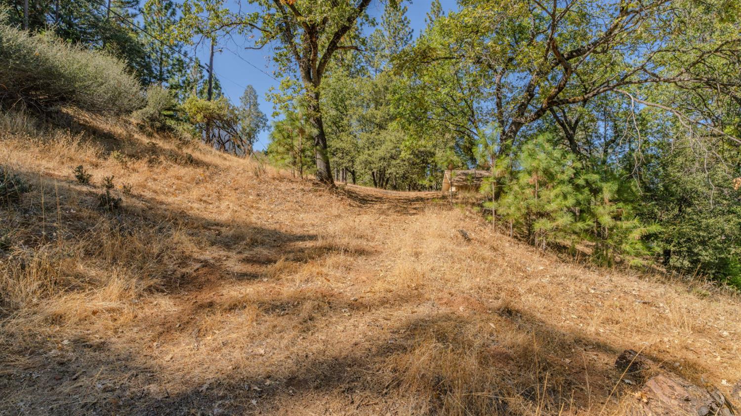11456 Gold Strike Road Pine Grove, CA 95665 - Photo 15 of 24 Gallery Image 15