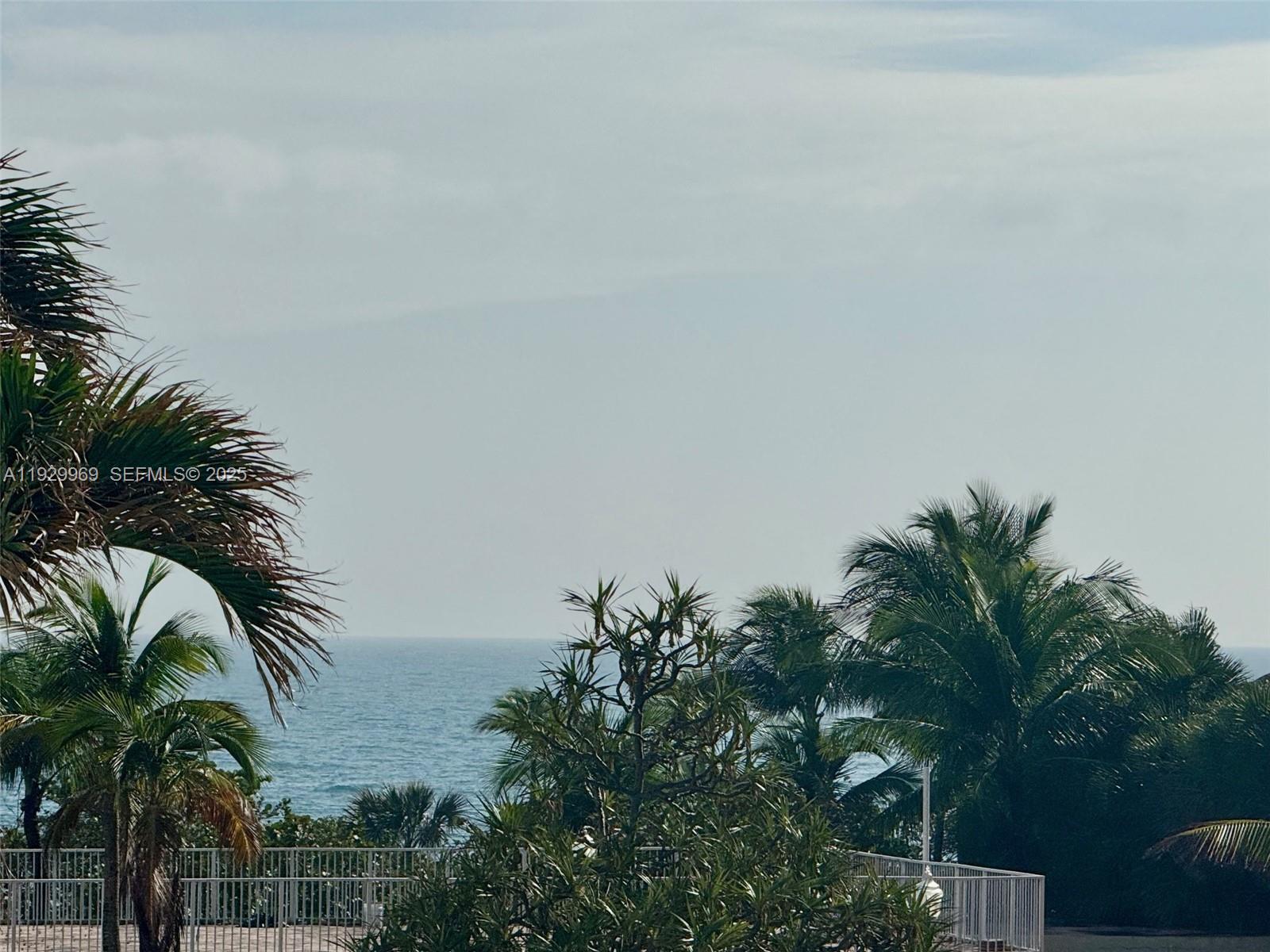 9801 Collins Avenue, Unit 5U Bal Harbour, FL 33154 - Photo 40 of 62 a palm tree sitting in front of a house with a yard