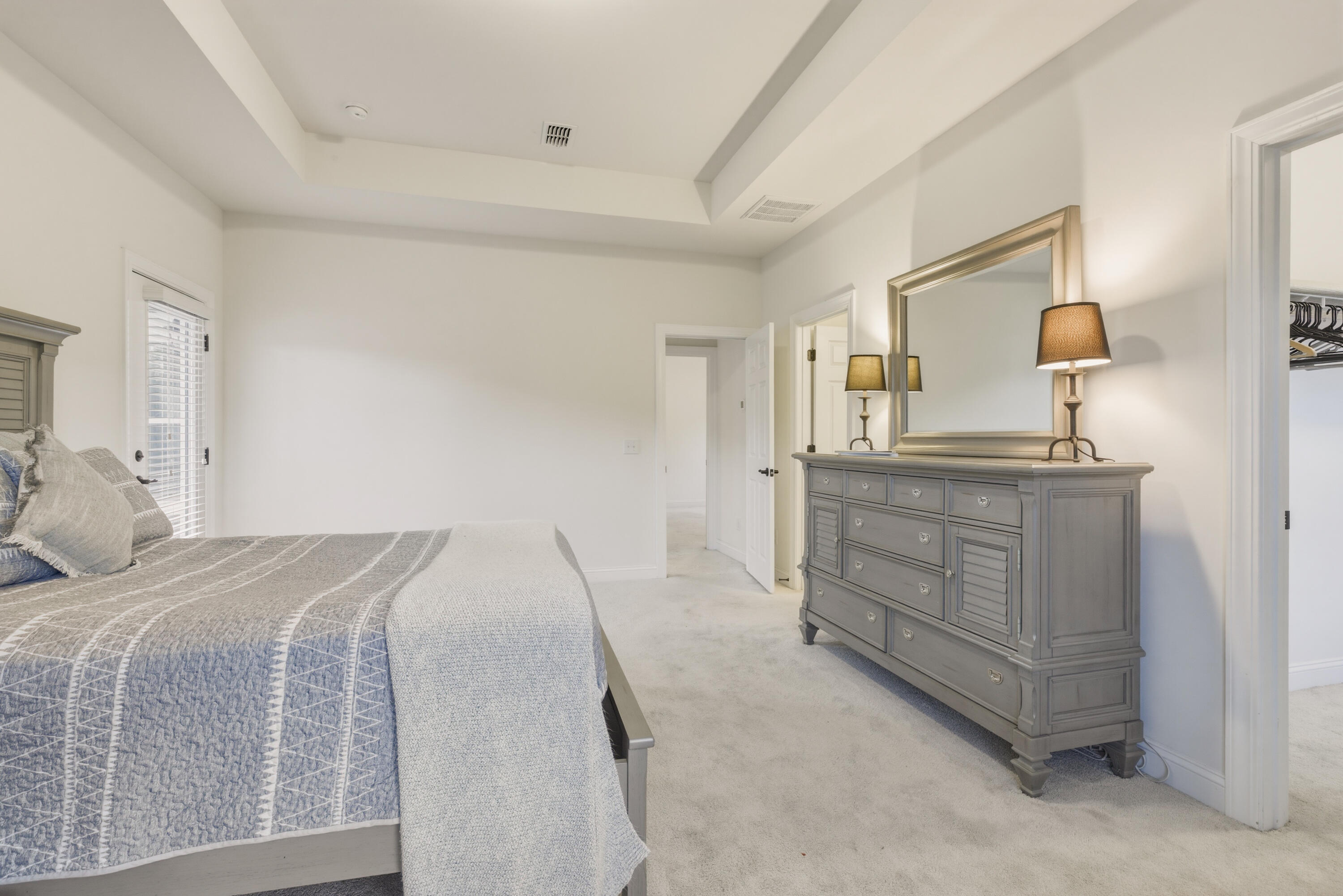 1611 Roustabout Way Charleston, SC 29414 - Photo 33 of 64 Tray ceiling