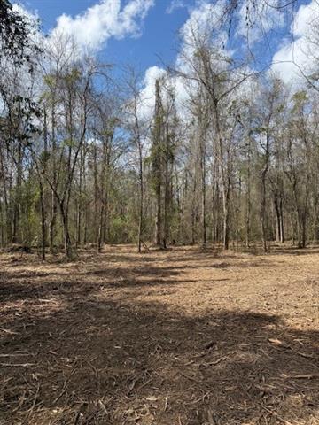 0 Wild Cherry Trace Bush, LA 70431 - Photo 11 of 12