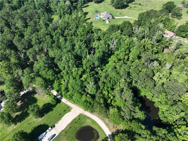 0 Wild Cherry Trace Bush, LA 70431 - Photo 2 of 12