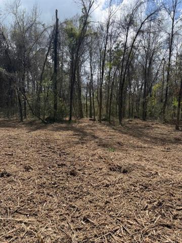0 Wild Cherry Trace Bush, LA 70431 - Photo 2 of 10