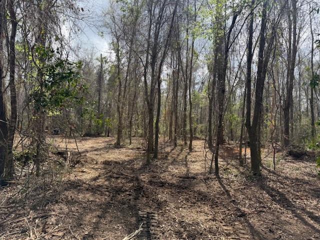 0 Wild Cherry Trace Bush, LA 70431 - Photo 3 of 10