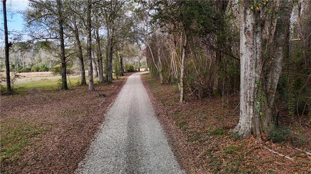 0 Wild Cherry Trace Bush, LA 70431 - Photo 4 of 10
