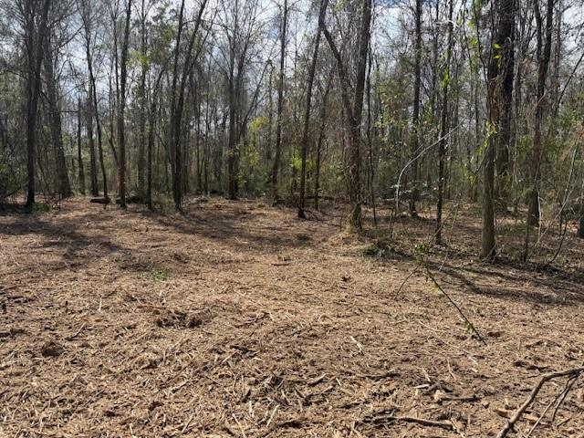 0 Wild Cherry Trace Bush, LA 70431 - Photo 4 of 12