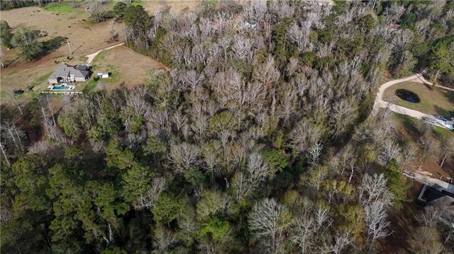 0 Wild Cherry Trace Bush, LA 70431 - Photo 9 of 12