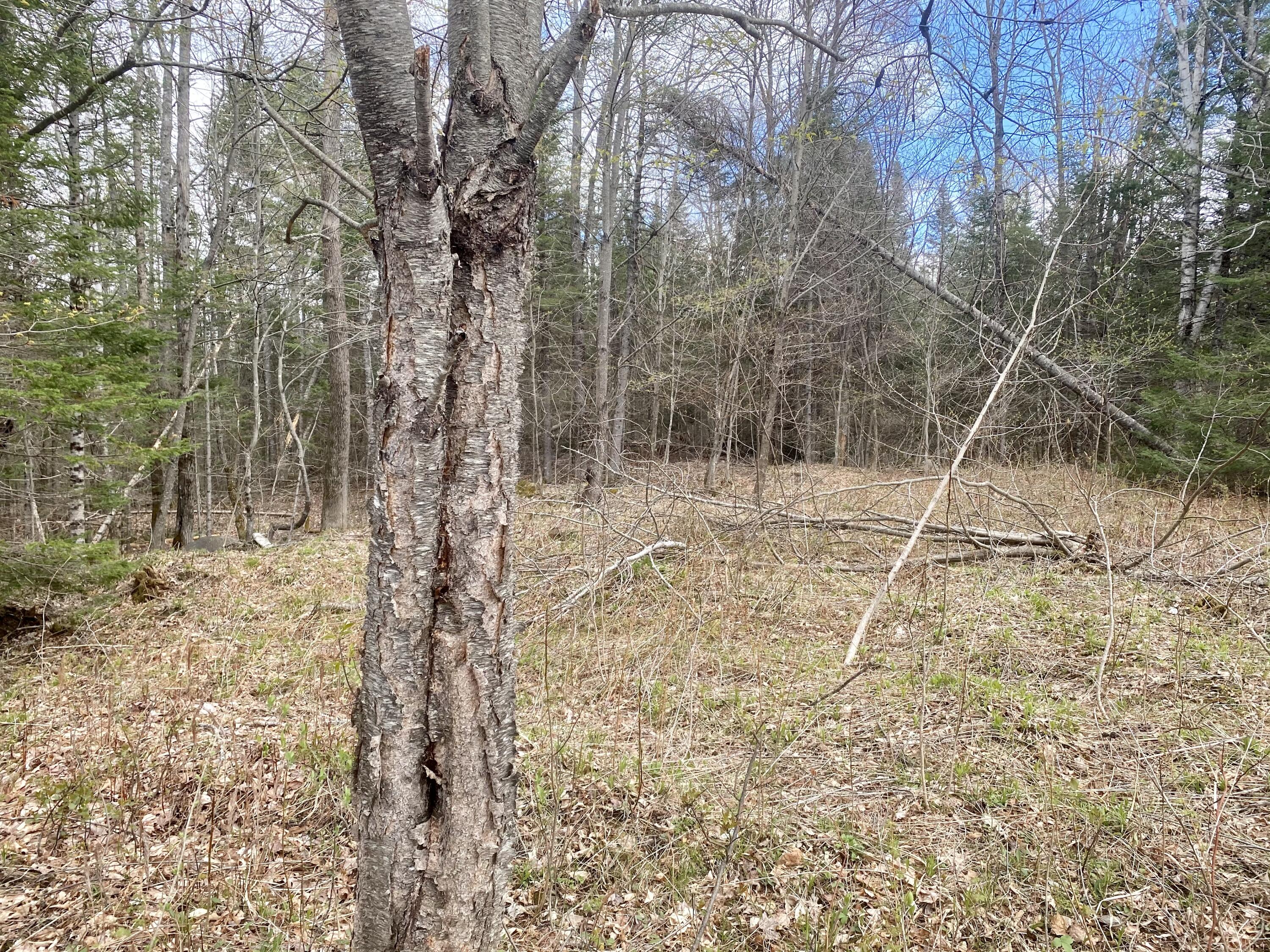 654 Tenney Hill Road Monson, ME 04464 - Photo 11 of 38 F454F4E3-EAC8-4A97-A418-2B247C0FE524