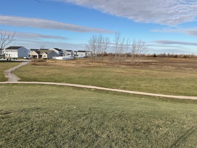 0 Locust Road Morris, IL 60450 - Photo 15 of 27 Gallery Image 15