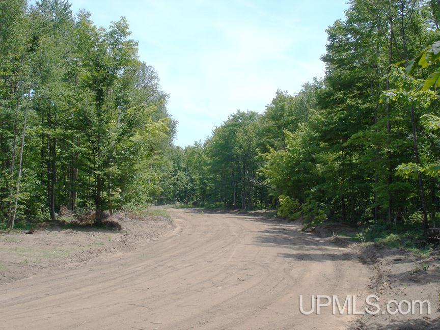 Tbd Northshore Bluffs Road, Unit 3 Manistique, MI 49854 - Photo 21 of 22