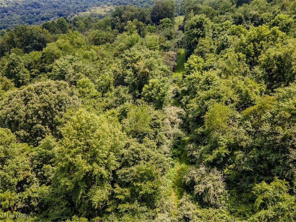 0 Mill St Road Quaker City, OH 43773 - Photo 8 of 23 Aerial view of property and surrounding area with a heavily wooded area