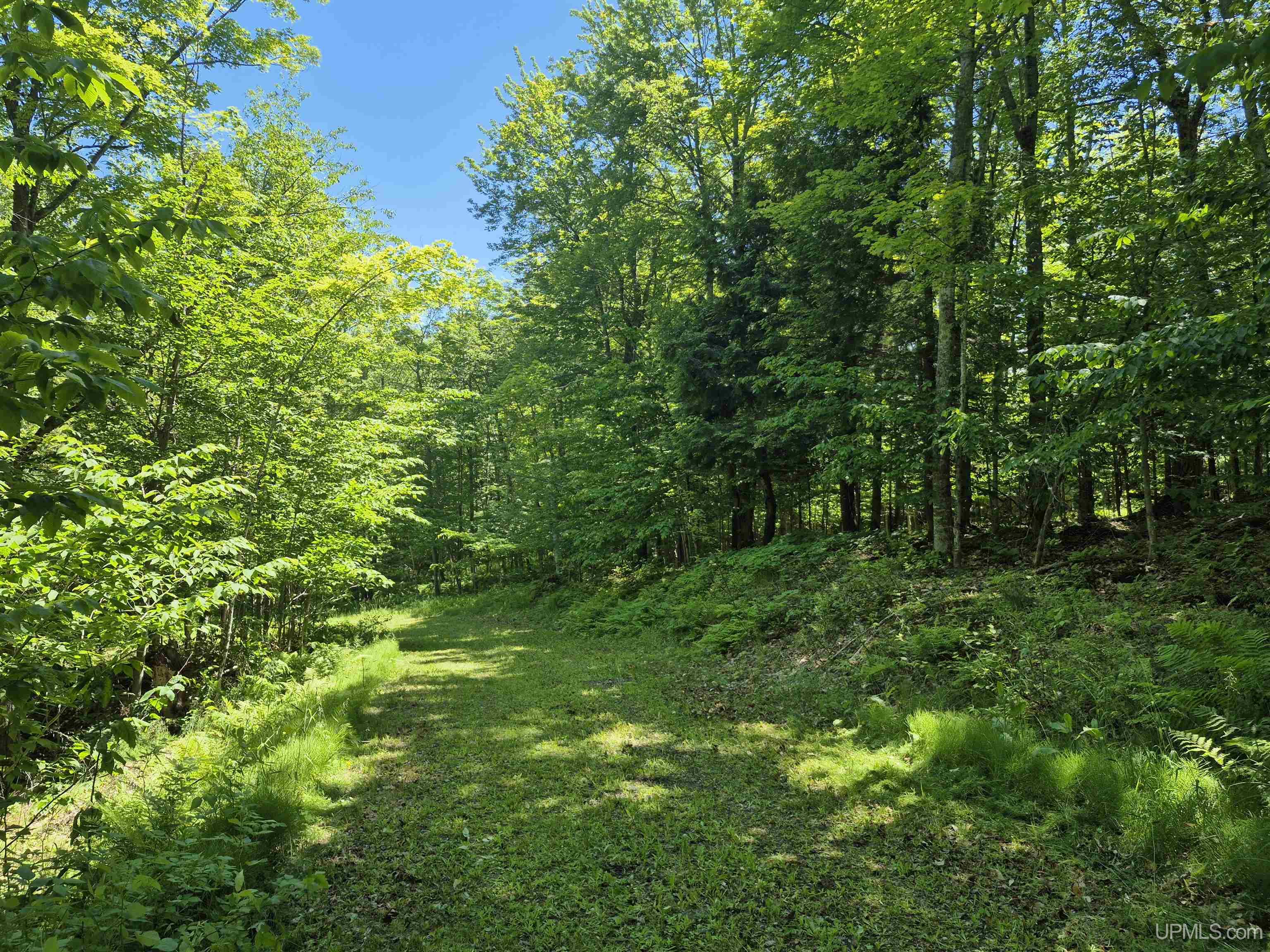 8-acres Nestor Road Munising, MI 49862 - Photo 16 of 43