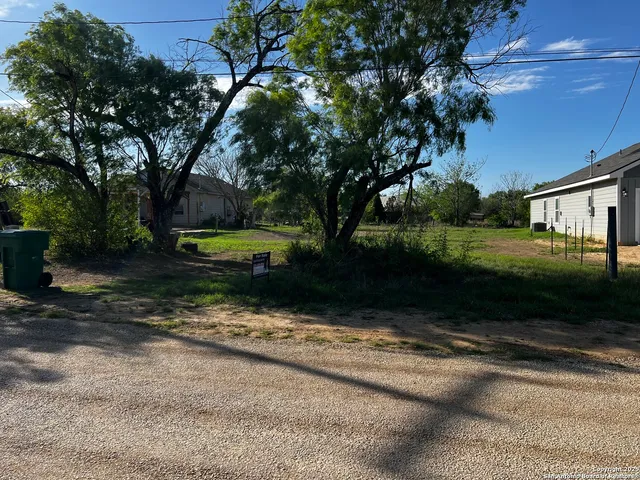 a view of a yard with plants and a tree