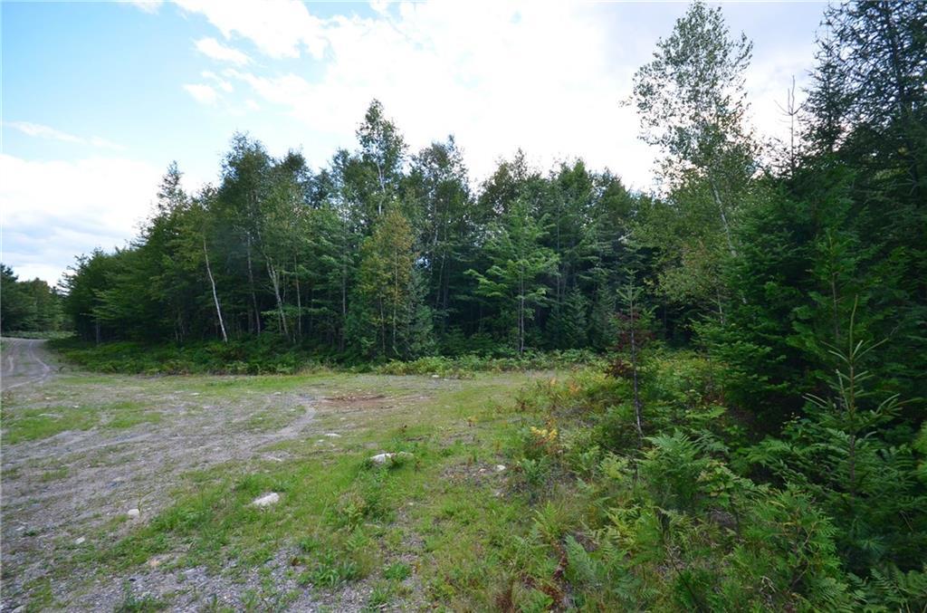 48 Moose Road Howland, ME 04448 - Photo 13 of 13 Maine Recreational Land