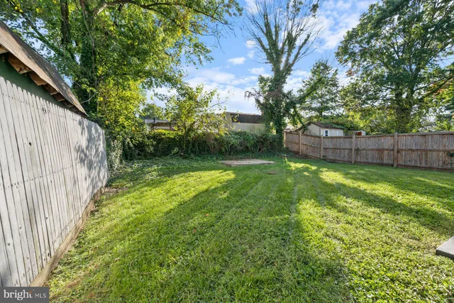 a view of a backyard with large trees and wooden fence