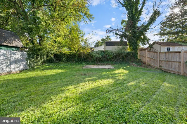 a view of a backyard with large trees