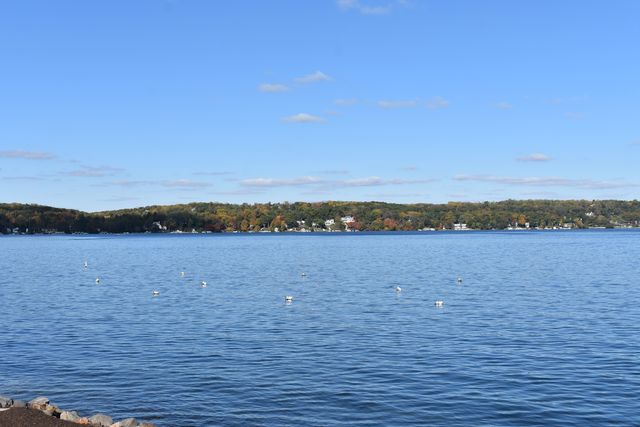 a view of street with trees