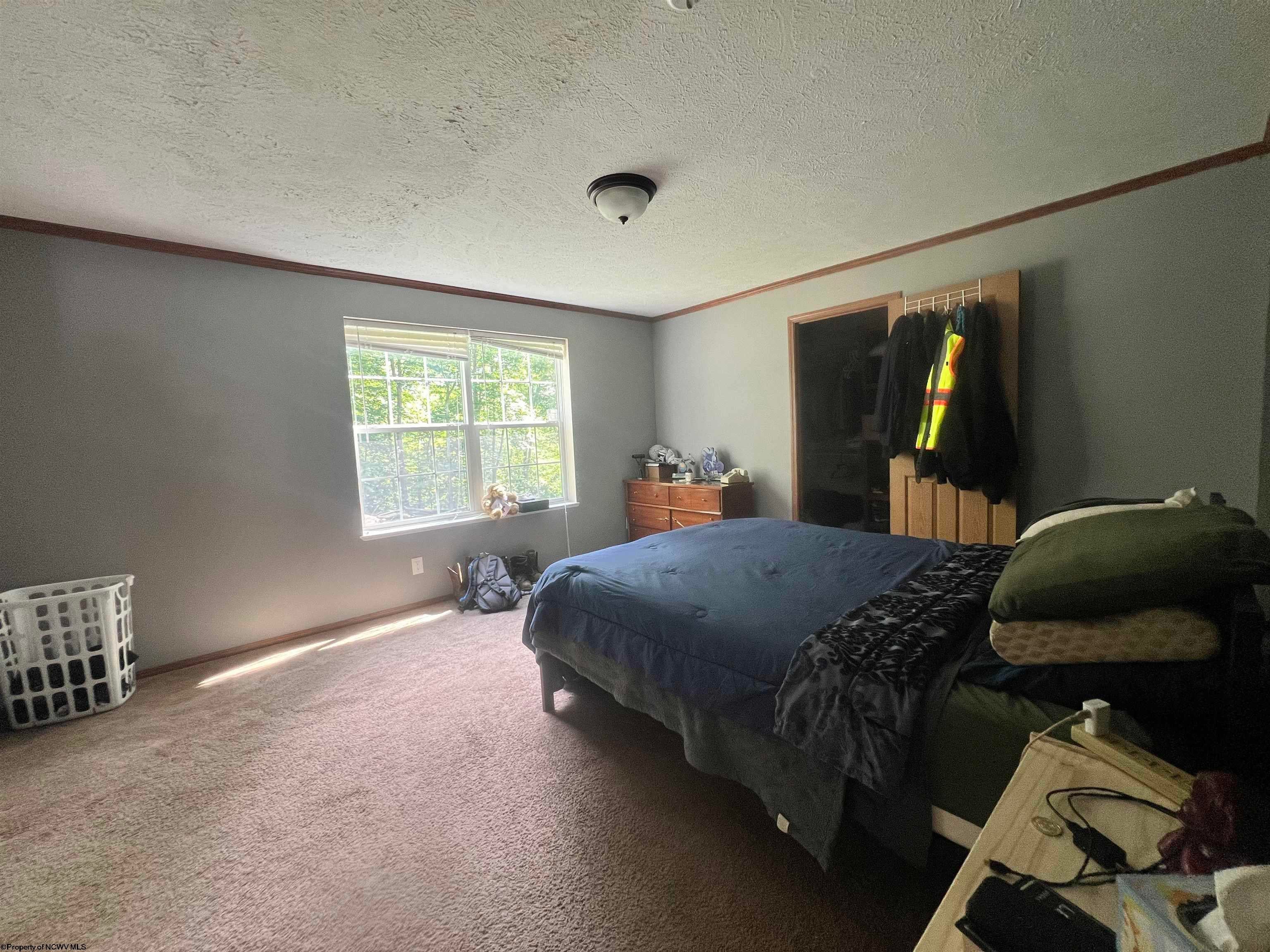 300 Ward Road Volga, WV 26238 - Photo 17 of 46 Gallery Image 17