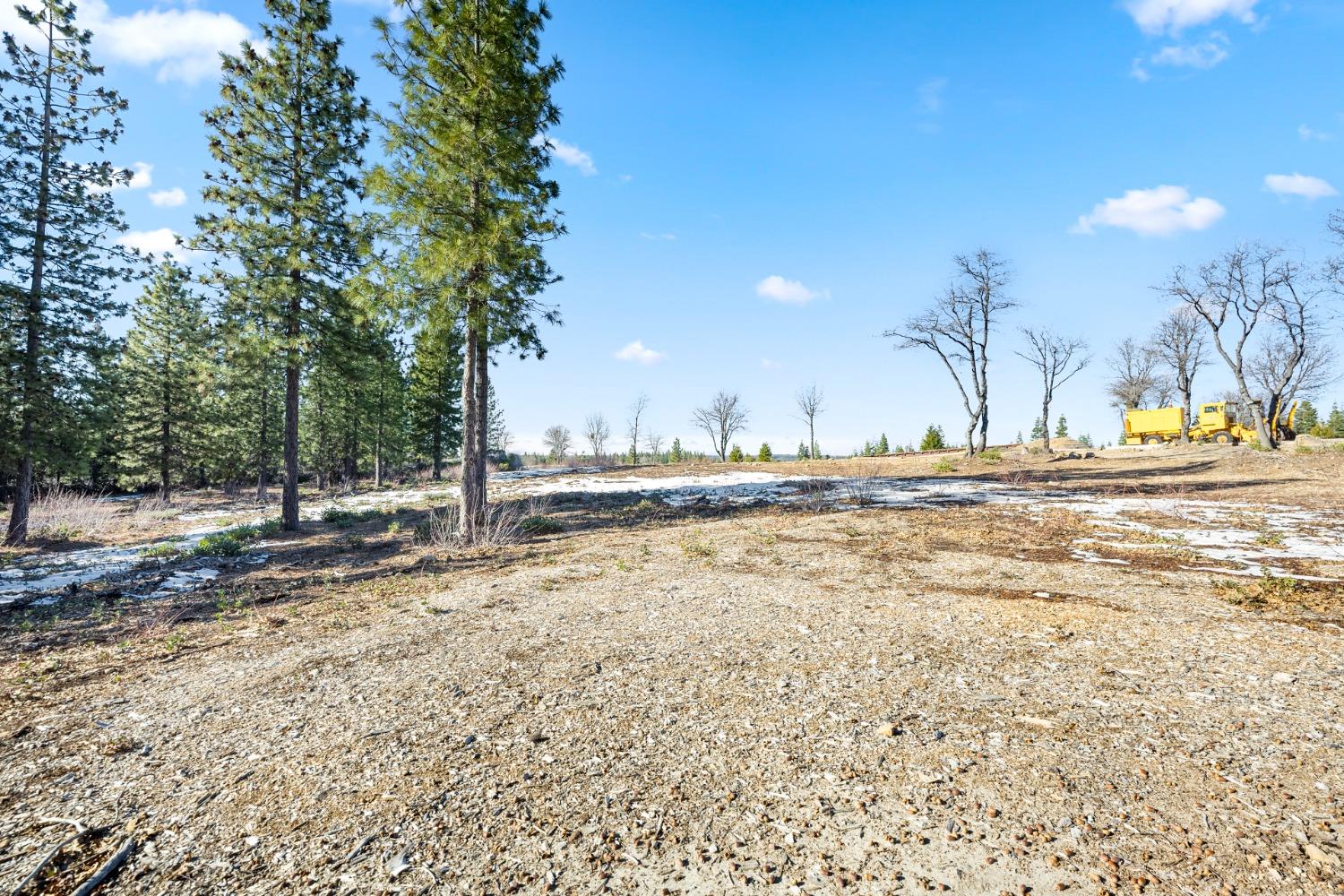 38787 Kearsarge Mill Road Alta, CA 95701 - Photo 13 of 16 a view of a yard with a house