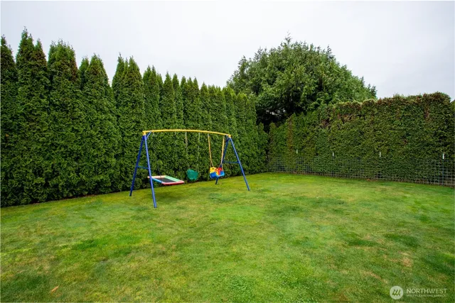 a view of a field with a tree