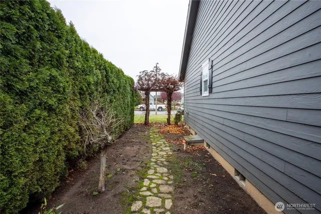 a view of a yard with plants and a fountain