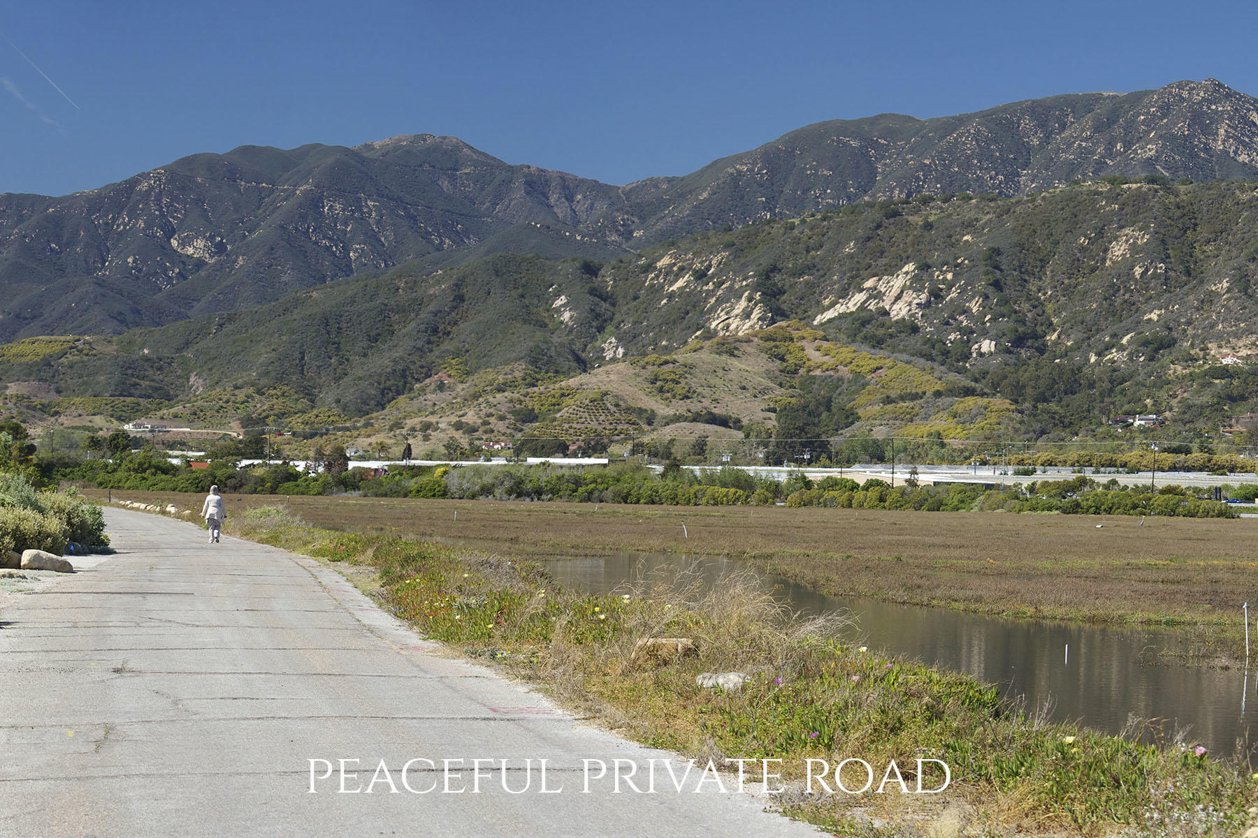 791 Sand Point Road Carpinteria, CA 93013 - Photo 29 of 30 Sand Point Road Peaceful private road
