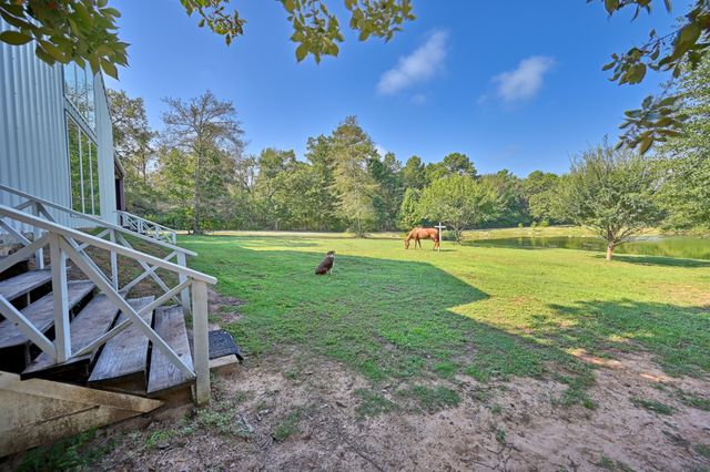 a view of an house with backyard and a tree