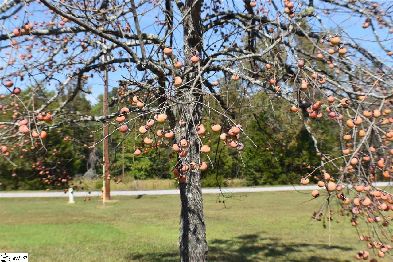 568 Metric Road Laurens, SC 29360 - Photo 22 of 23 Gallery Image 22